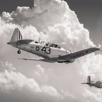 El último vuelo de Amelia Earhart