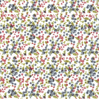 La ironía de Jane Austen