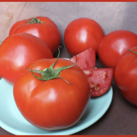 Budgets. Art, City of Anderson Update, Emergency Alerts and Special Populations