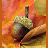 Labor Day, Balloons, Ride Sharing, WWF World Champion, New Cross Country Facility, and a new Police Chief for Belton