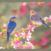 Saying Goodbye to Al Norris, Anderson County Updates, Pendleton Jubilee/Frank Crenshaw Interview, Library offers more than books and more