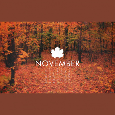 Anderson Observer Podcast