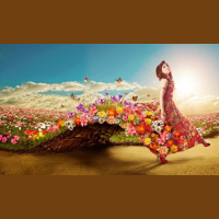 Wellcome To Spring (2017) 