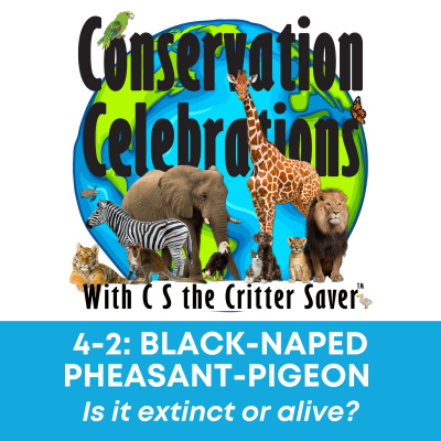 Conservation Celebrations With The The Green Up Girl®