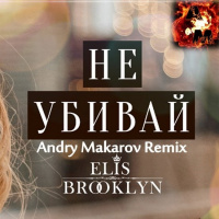 Elis Brooklyn — Не убивай (Andry Makarov Remix)