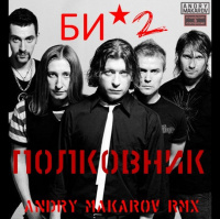 Би-2 — Полковник (Andry Makarov RMX)