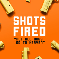 Not All Dogs Go To Heaven - Shots Fired