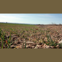 Quan la investigació és vital per protegir la salut de lemergència climàtica