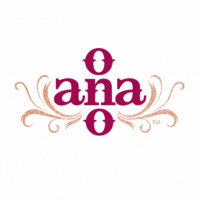 AnaOno Elevator Pitch