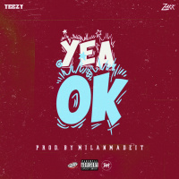 Teezy x Zakk - Yea Ok