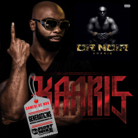 FMRS kAARIS 021113