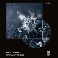 Alexey Sonar - SkyFall Winter 2022 (DJ Mix) [SkyTop]