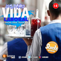 LOS DANKO 15x07 - VIDA LABORAL