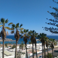 PhaseOne #38A Tropical Chill House