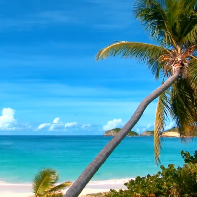 Thomas Presents Eargasm