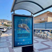 Rincón de la Victoria se suma un año más a la campaña de concienciación medioambiental `Aquí salvamos tortugas