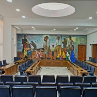 Pleno extraordinario sobre sanidad pública en Rincón de la Victoria