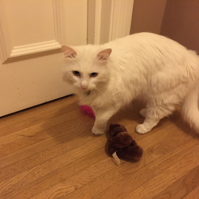 Rich Herring - Warming Up