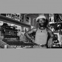 The Curated Catastrophe - Farewell To The Upsetter