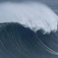 The Curated Catastrophe - Tsunami Songs