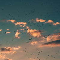 Regroup and Lounge 140