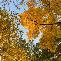 Regroup and Lounge 149