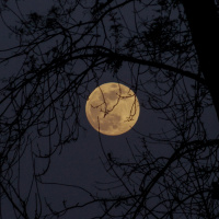 Regroup and Lounge 152