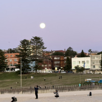 conscious leadership #2