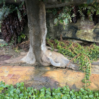 re thinking a thought is a nono