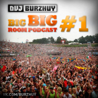 DVJ Burzhuy - BIG BIG ROOM PODCAST #1