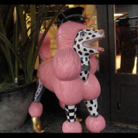 En Riguroso Diferido #26 El de la herencia de la perrita Trouble