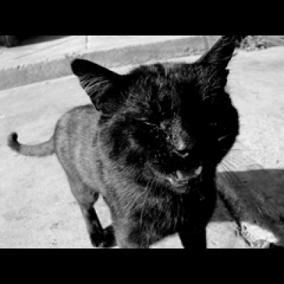 En Riguroso Diferido