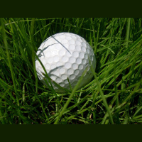 Silver Linings - Quarantine Day 12