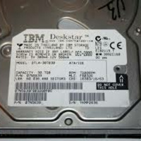 IBM Deskstar DTLA 307030