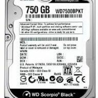 Disque dur Western Digital 750Go