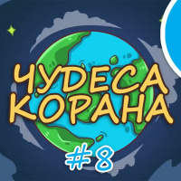 ЧУДЕСА КОРАНА #8 | Нутфа, расширение Вселенной, свойства мёда