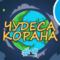 ЧУДЕСА КОРАНА #9 | Всё живое - из воды, растения - парами, пчёлы