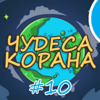 ЧУДЕСА КОРАНА #10 | Ветры опыляют облака, солнце гаснет, тонкая паутина