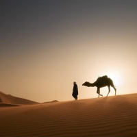 Думай, чего желать