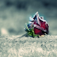 НЕТ вражды на КЛАДБИЩЕ