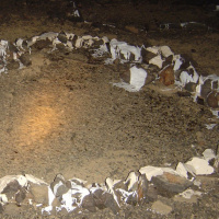 День, когда зарыдал Пророк