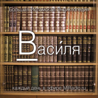 MIRadio.ru - БИЭ - Василя