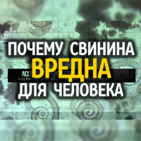 Почему СВИНИНА вредна для человека