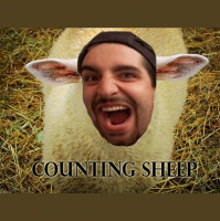 Counting Sheep -EP4