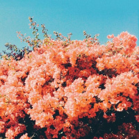 S2:Ep. 83 Rituales Equinoccio Primavera