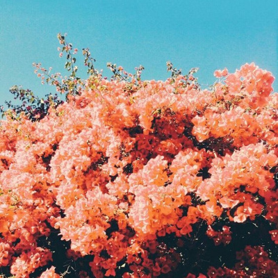 Ritual La Vela Podcast