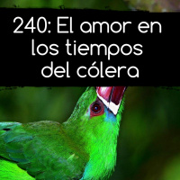 240: El amor en los tiempos del cólera