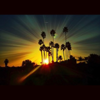 Pamela - Épisodes 1-4 - 17 novembre 2016