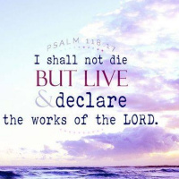 You Shall Live  Not Die w/ Mother Green - No Love, No Peace