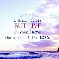 You Shall Live  Not Die w/ Mother Green